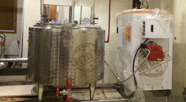 全自動燃?xì)庹羝l(fā)生器