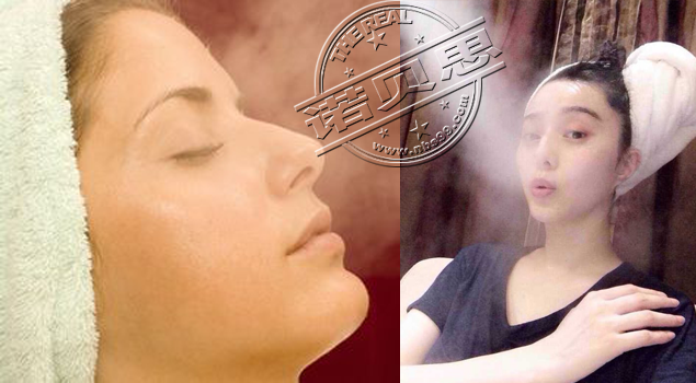 蒸臉美容用電加熱蒸汽發(fā)生器 蒸臉美容用電加熱蒸汽發(fā)生器