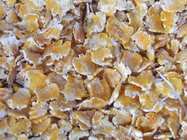 蒸汽壓片配套電加熱蒸汽發(fā)生器 蒸汽壓片配套電加熱蒸汽發(fā)生器