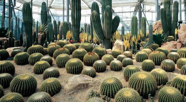 珍稀物種防凍蒸汽發(fā)生器 珍稀物種防凍蒸汽發(fā)生器