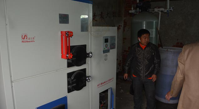 蔬菜大棚蒸汽發(fā)生器