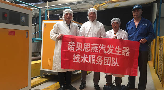 諾貝思蒸汽發(fā)生器服務