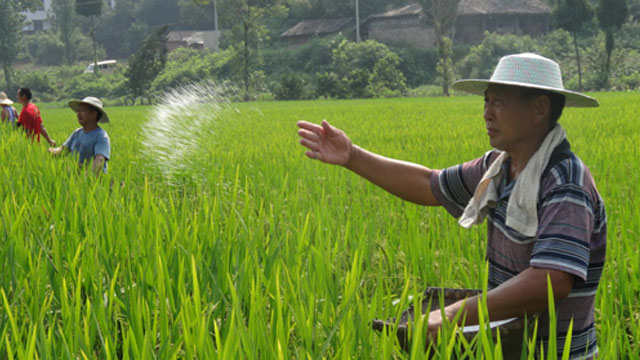 電蒸汽發(fā)生器 電蒸汽發(fā)生器
