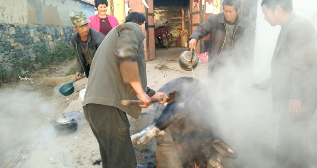 脫豬毛蒸汽發(fā)生器 脫豬毛蒸汽發(fā)生器