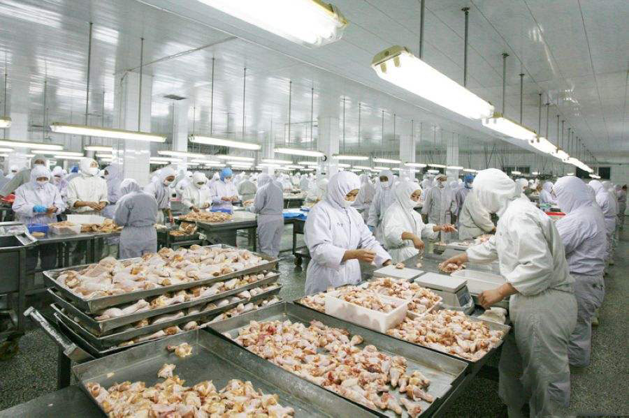 蒸汽發(fā)生器 蒸汽發(fā)生器