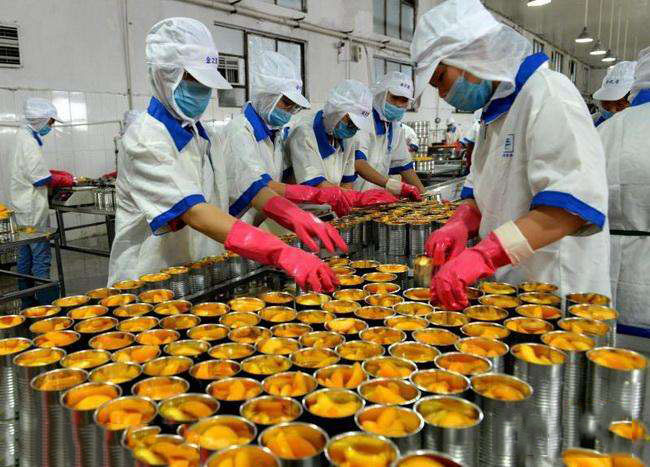 蒸汽發(fā)生器 蒸汽發(fā)生器