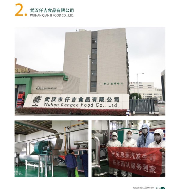 燃?xì)庹羝l(fā)生器助力食品加工行業(yè)升級(jí)